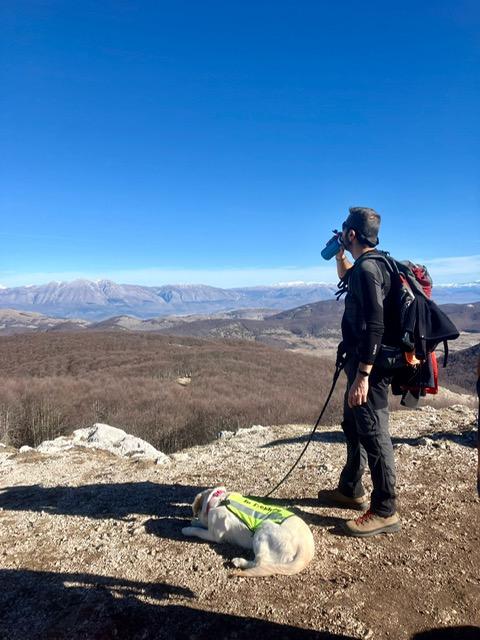 Dog trekking aicss