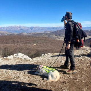 DOG TREKKING