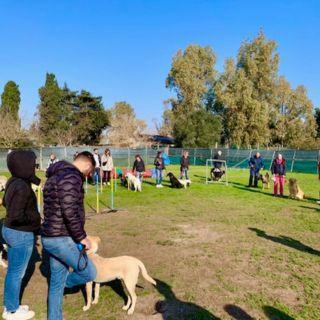 obedience di gruppo roma