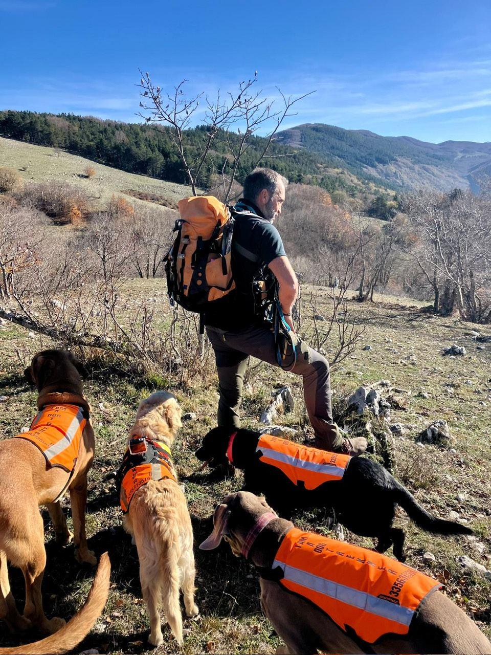 Una guida con lo zaino osserva il sentiero, davanti a lui quattro cani con le pettorine arancioni