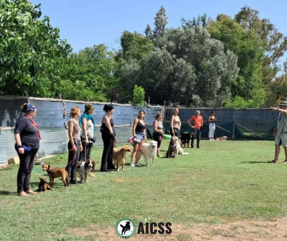 Proprietari con i cani al guinzaglio in fila nel campo dell'Accademia AICSS