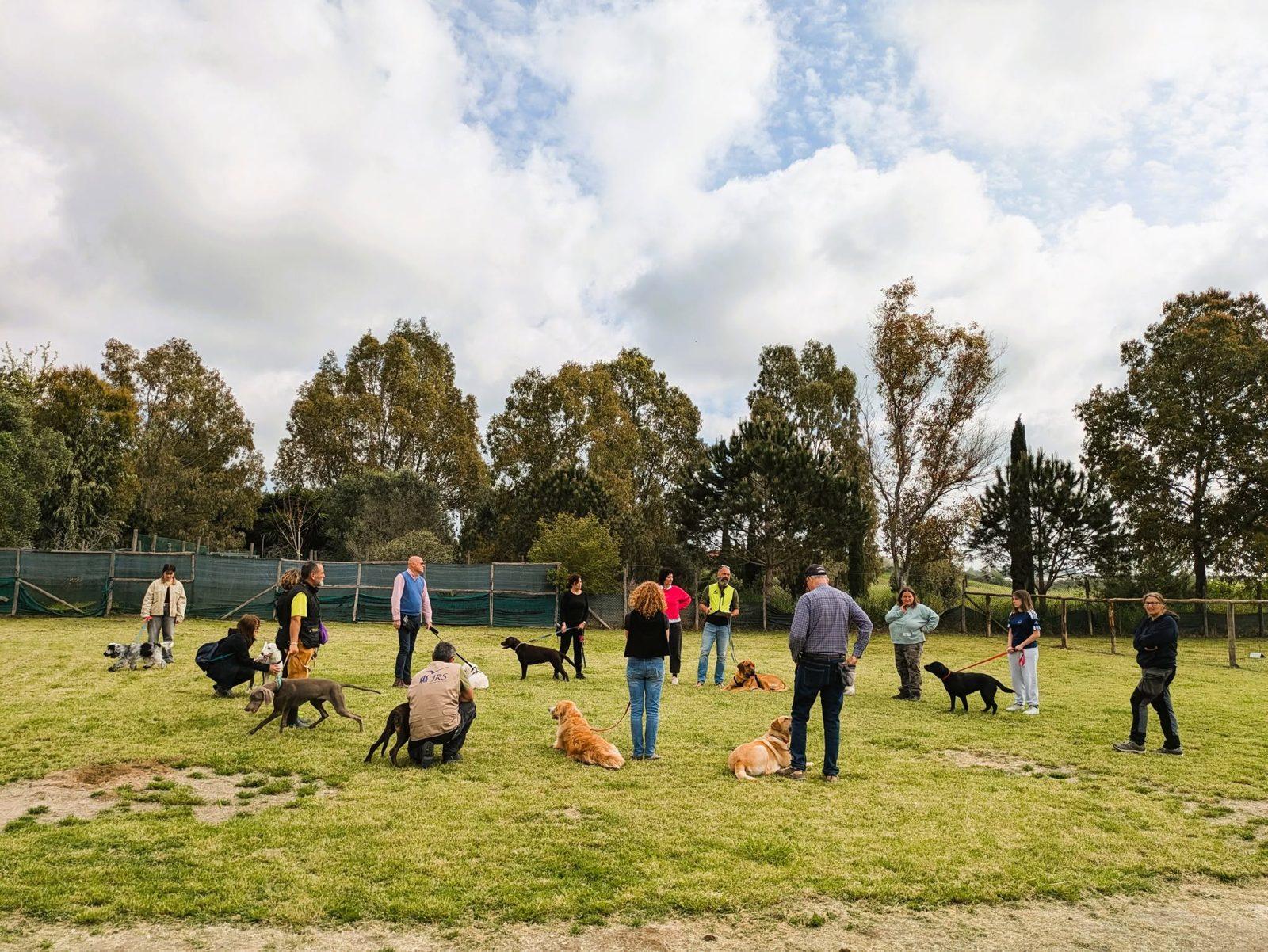 Classe di educazione cinofila nel campo: proprietari e cani lavorano a distanza sotto la guida dell'istruttore