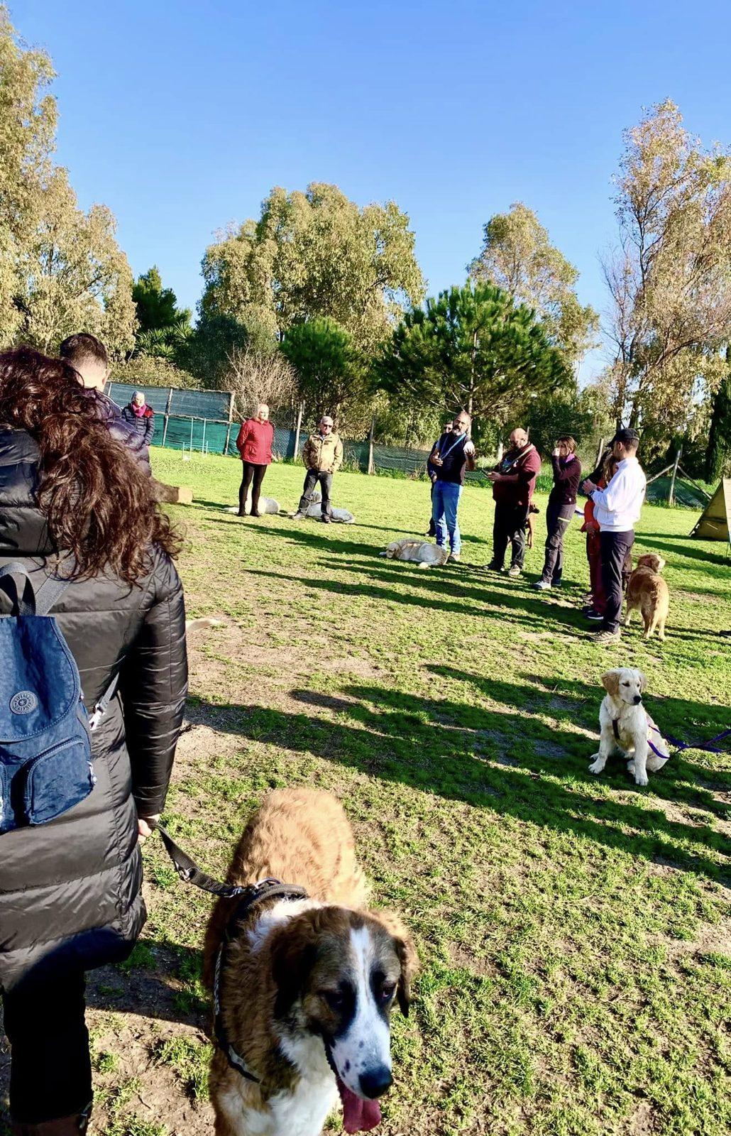 Classe di educazione cinofila sul prato con proprietari e cani