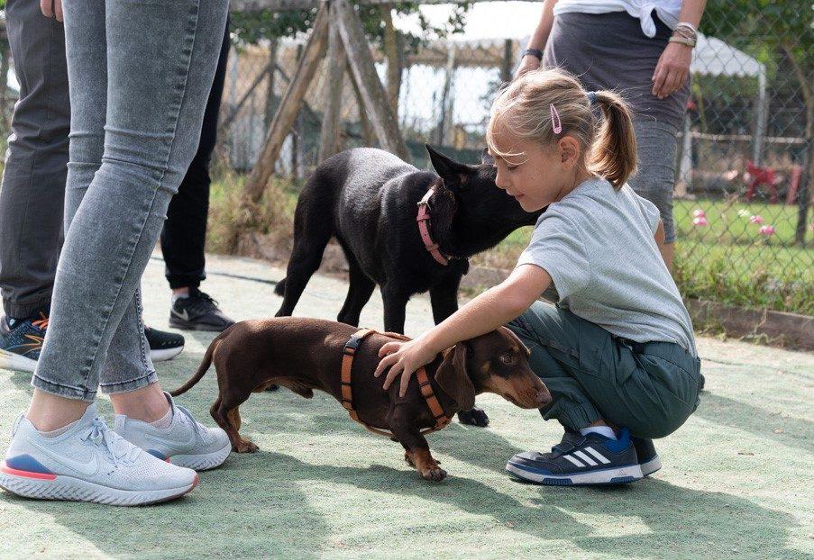 Bambina accovacciata accarezza un cucciolo di bassotto